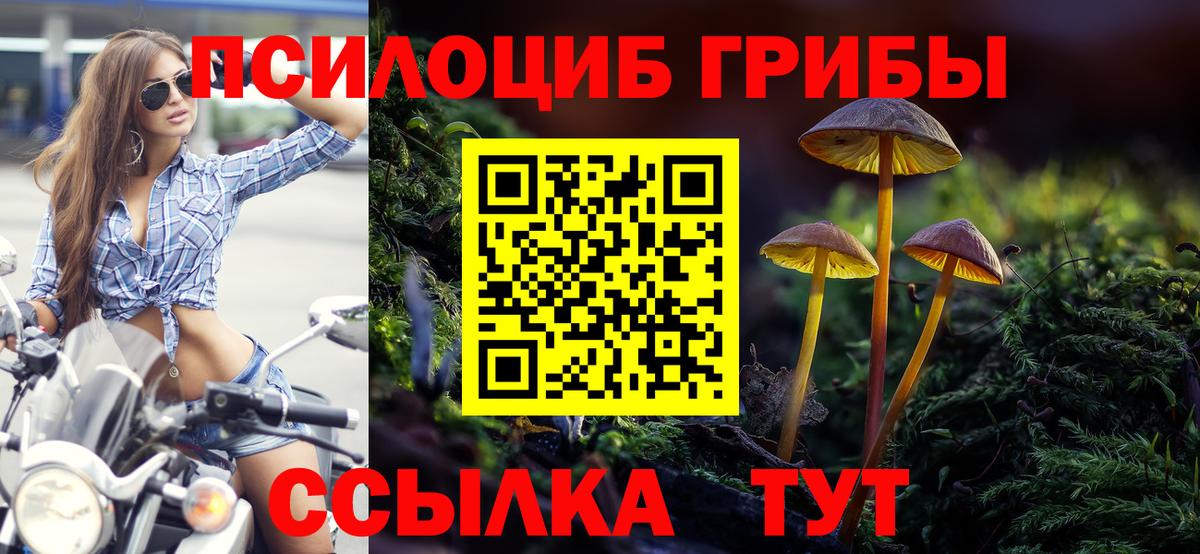 Галлюциногенные грибы Magic Shrooms Юрга