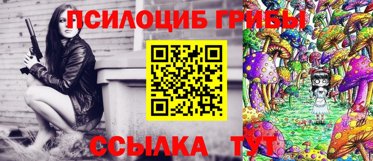 Юрга  даркнет сайт  Галлюциногенные грибы Cubensis  Вход с VPN  Галлюциногенные грибы Psilocybine cubensis 